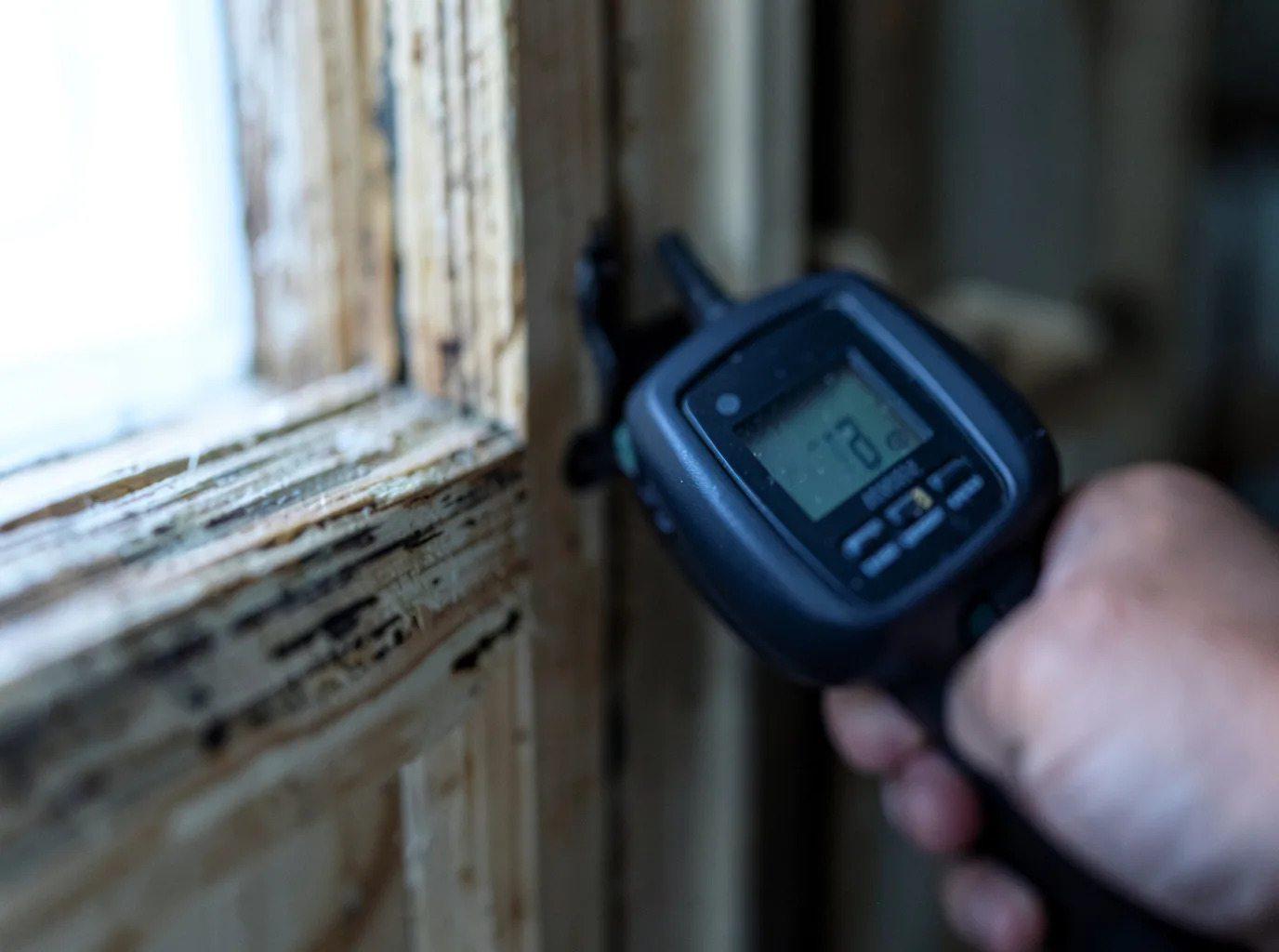 Moisture Inspection And Documentation in Rockville Centre, NY